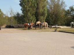 img_7398_web